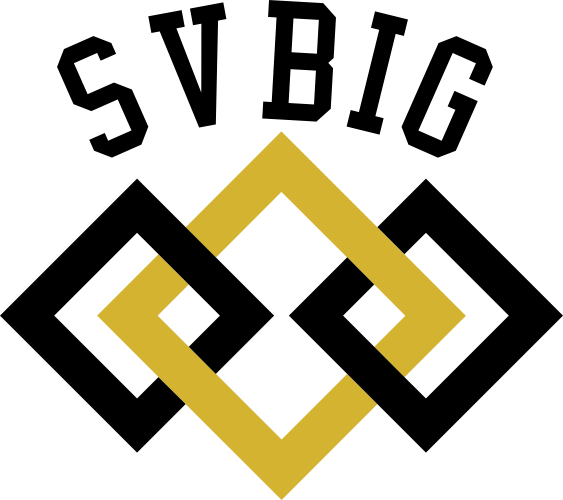 SVBig Logo